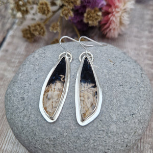 Sterling Silver Petrified Wood Gemstone Earrings