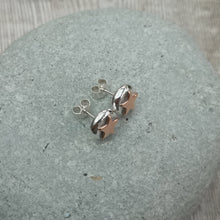 Load image into Gallery viewer, Sterling Silver Pebble Stud Earrings with Copper Stars