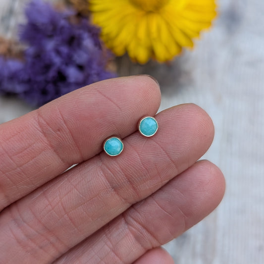 Close-up of a hand holding a small pair of silver amazonite studs with round turquoise gemstones, with a yellow and purple flower blurred in the background.