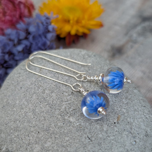 Silver Blue Lampwork Glass Earrings resting on a stone with dried flowers in the background, showcasing the transparent glass beads and blue flower pattern.
