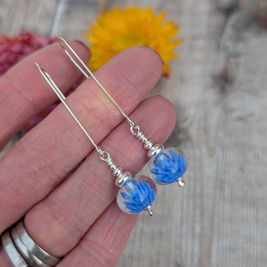 Silver Blue Lampwork Glass Earrings shown held between fingers, highlighting handmade glass lampwork beads with blue floral centres and silver wire details.