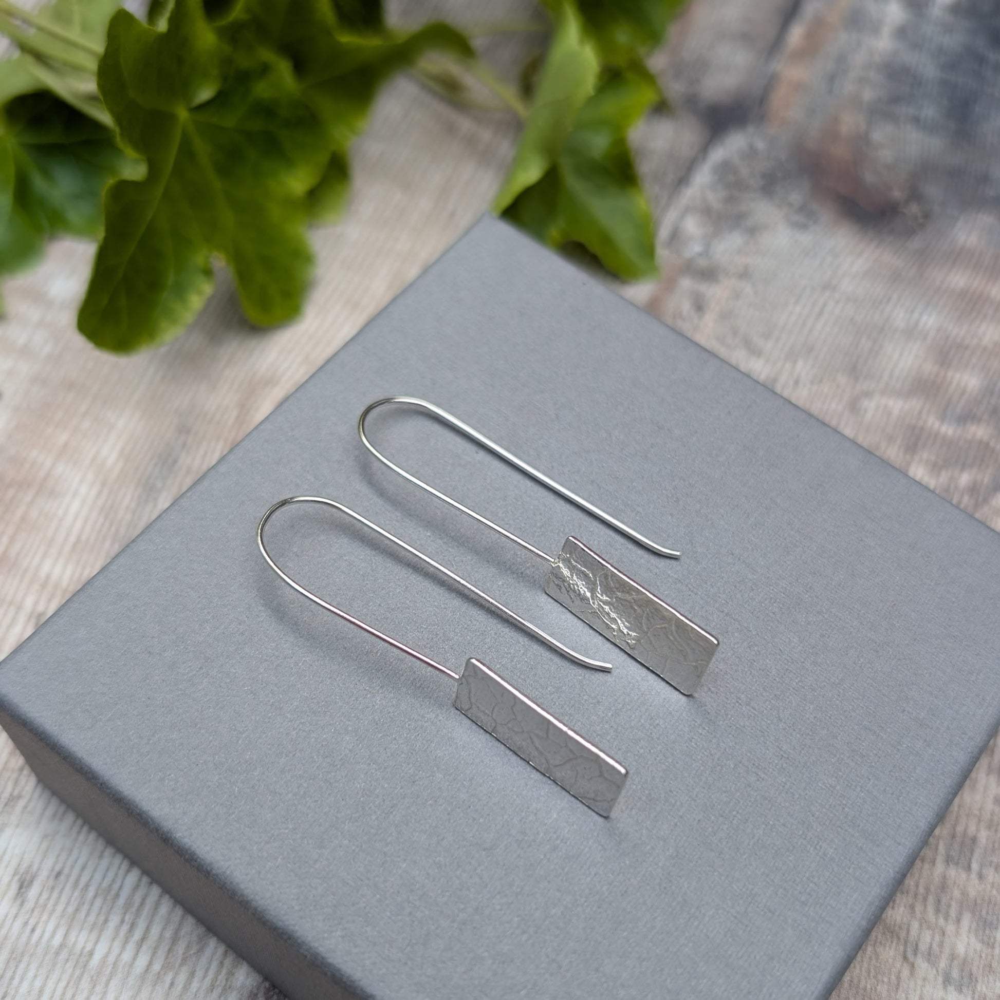 Top view of Silver Rectangle Earrings with Cracked Earth Pattern on display box with greenery in background